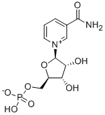 NMN β-烟酰胺单核苷酸