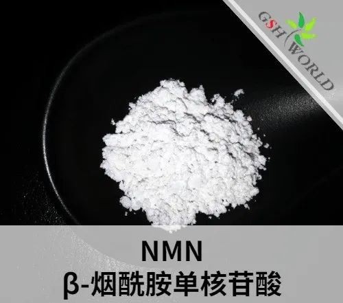 烟酰胺单核苷酸（NMN）原料药简介