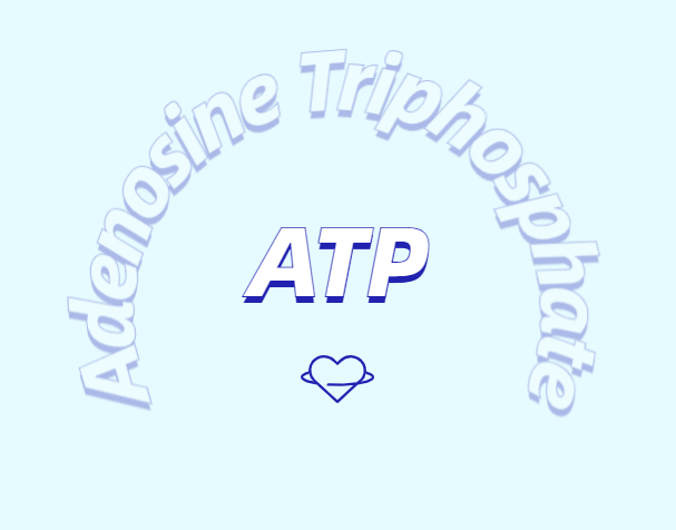 ATP有什么用？