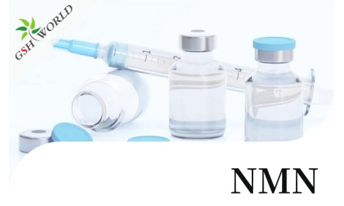 行业关注 - NMN治疗多囊卵巢综合征