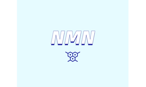NMN与大脑功能
