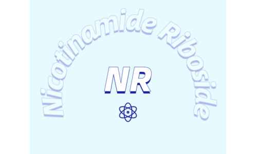 NMN与NR有什么区别？